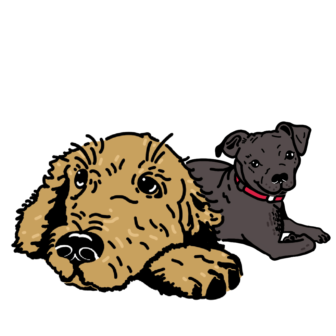 Bella-&-Daisy-Morale-Officers